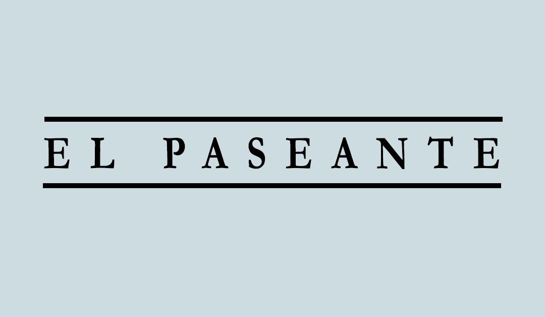 Entrevista para El Paseante